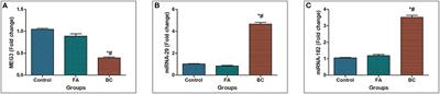 The Impact of Single Nucleotide Polymorphism in the Long Non-coding MEG3 Gene on MicroRNA-182 and MicroRNA-29 Expression Levels in the Development of Breast Cancer in Egyptian Women